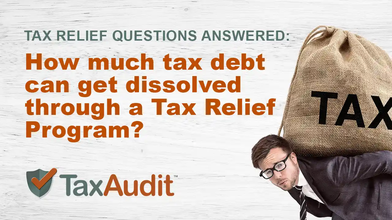 Two mint chocolate milkshakes with whipped cream and green sprinkles.