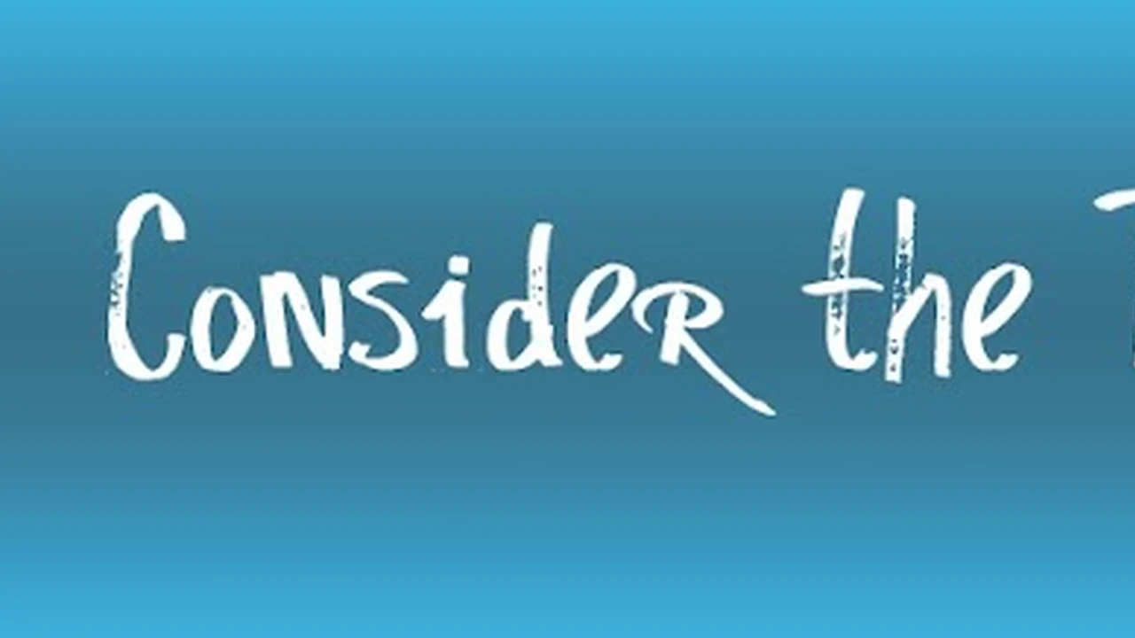 Two mint chocolate milkshakes with whipped cream and green sprinkles.